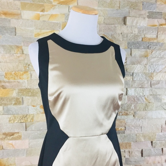 THE LIMITED Colorblock Metallic Sleeveless Sheath Dress 4 Small Career Work - Picture 3 of 5